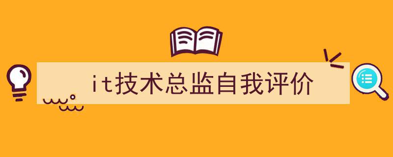 it技术总监自我评价如何写我教你。（精选5篇）"/