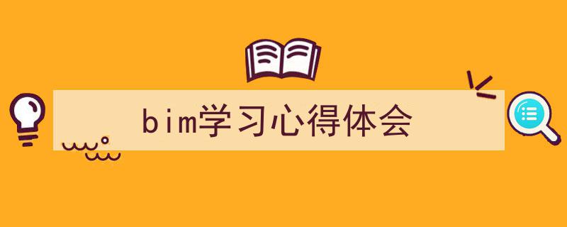 写作《bim学习心得体会》小技巧请记住这五点。（精选5篇）"/
