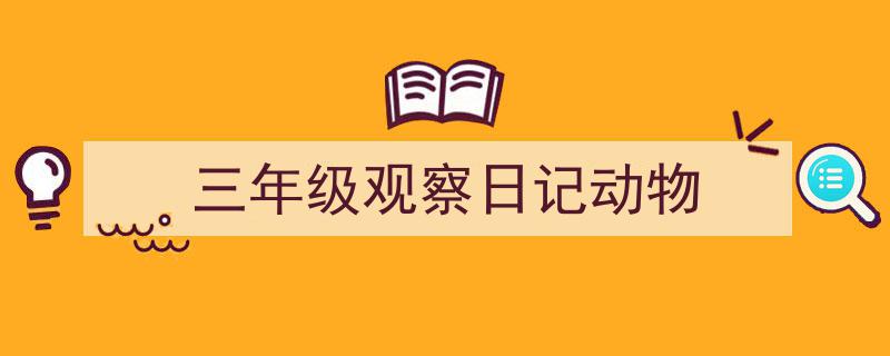 一篇文章轻松搞定《三年级观察日记动物》的写作。（精选5篇）"/