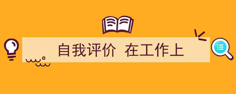 自我评价